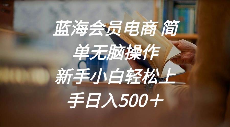 蓝海会员电商 简单无脑操作 新手小白轻松上手日入500＋-阿戒项目库