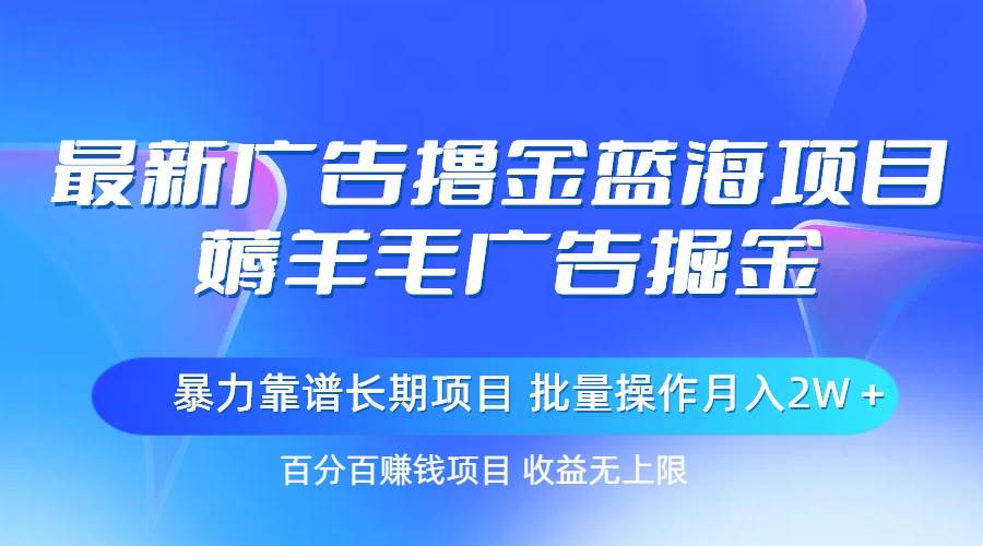 最新广告撸金蓝海项目，薅羊毛广告掘金 长期项目 批量操作月入2W＋-阿戒项目库