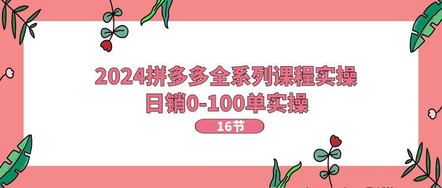 2024拼多多全系列课程实操，日销0-100单实操【16节课】-阿戒项目库