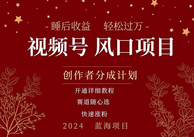 拥有睡眠收益的微信视频号大风口项目，轻松月入过万+，多赛道选择，可…-阿戒项目库