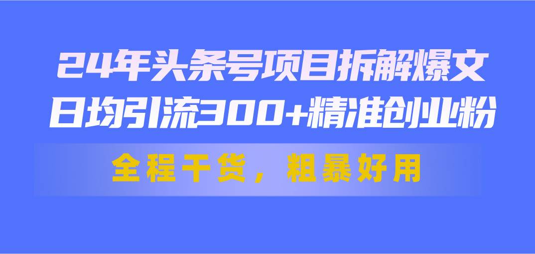 24年头条号项目拆解爆文，日均引流300+精准创业粉，全程干货，粗暴好用-阿戒项目库