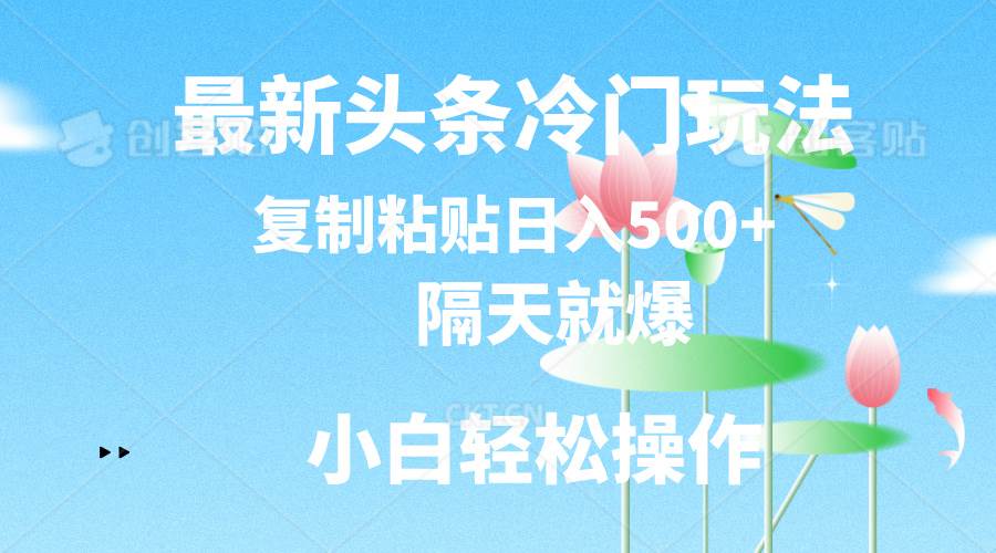 最新头条冷门玩法，隔天就爆，复制粘贴日入500+-阿戒项目库