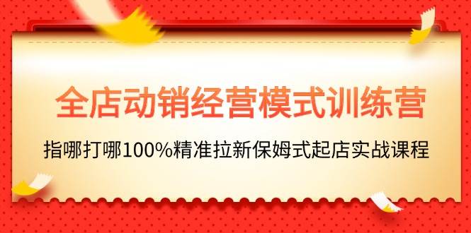 全店动销-经营模式训练营，指哪打哪100%精准拉新保姆式起店实战课程-阿戒项目库