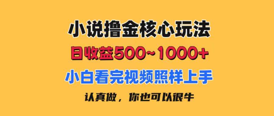 小说撸金核心玩法，日收益500-1000+，小白看完照样上手，0成本有手就行-阿戒项目库